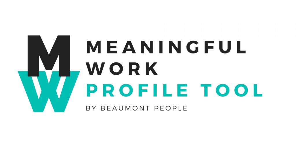 Meaningful Work Profile