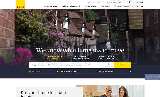website preview