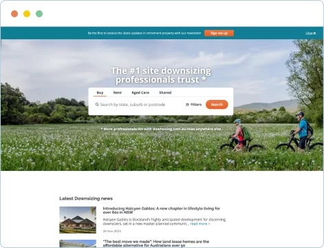 website preview