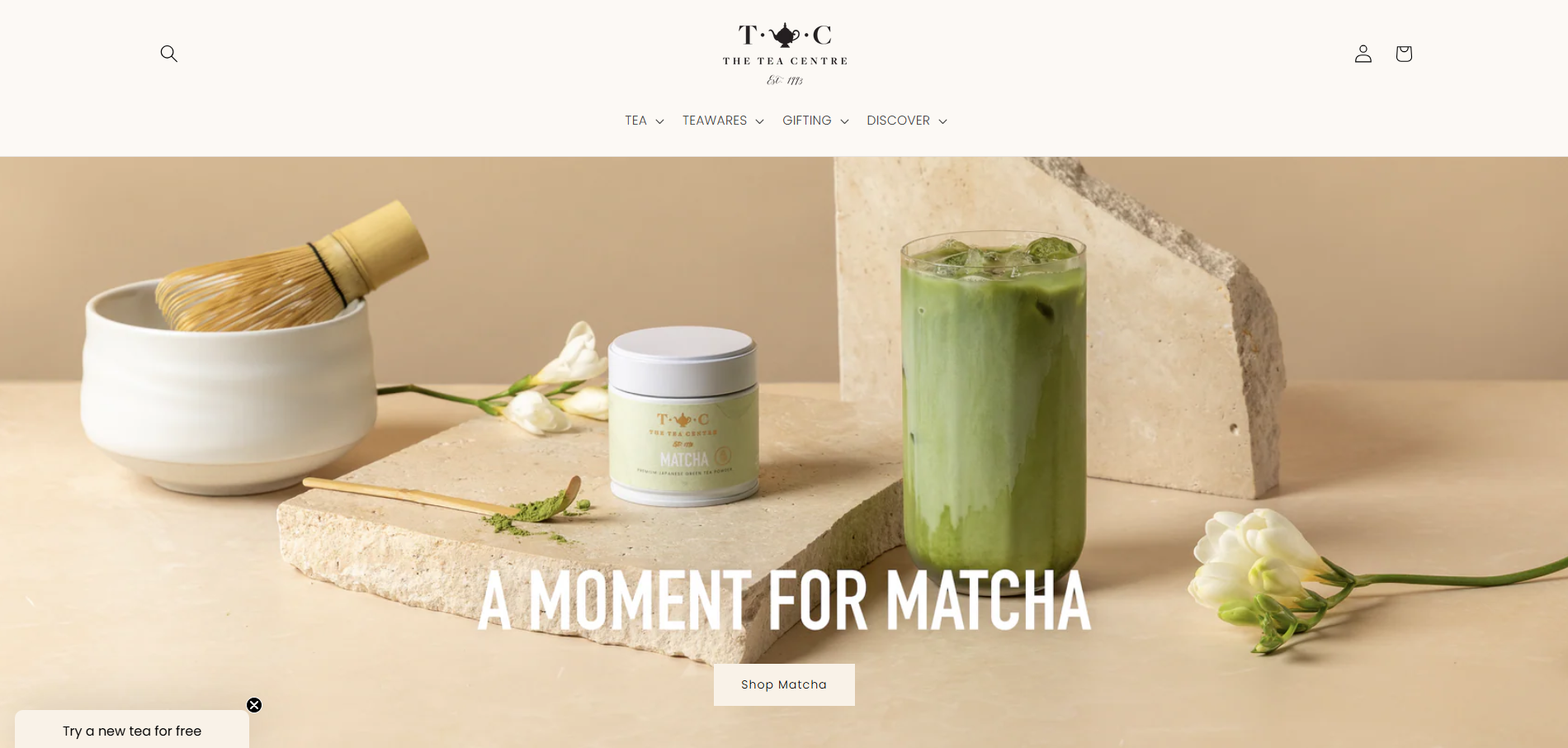 website preview
